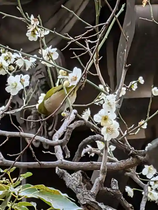 繁榮稲荷神社(東京都)