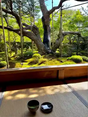 宝泉院(京都府)