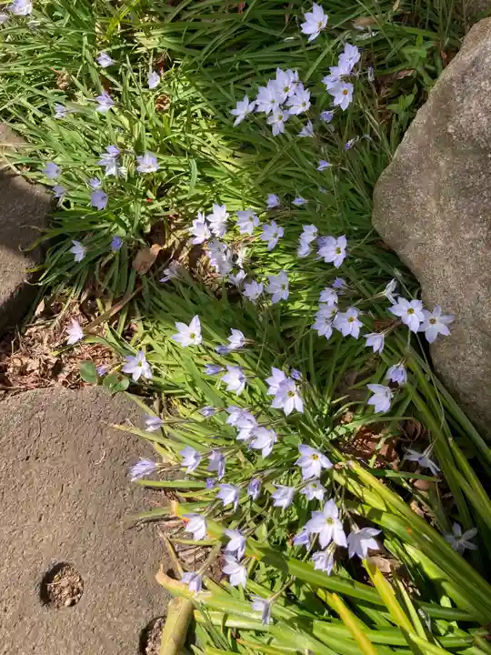 常泉寺(神奈川県)