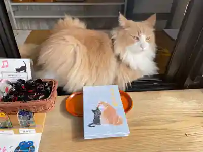 ムギ様と御朱印帳💛