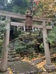 赤坂氷川神社の鳥居