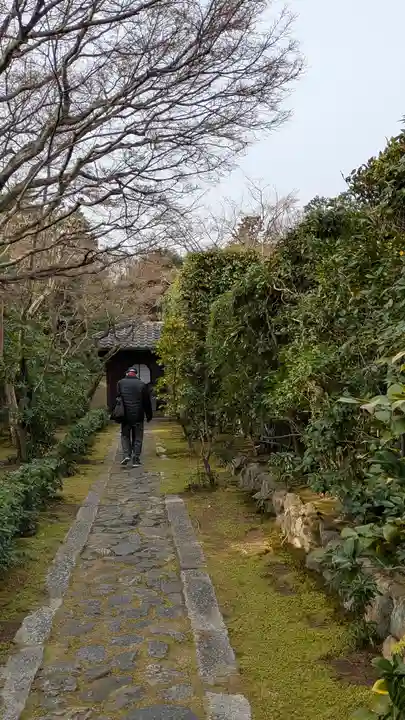 大光院(京都府)