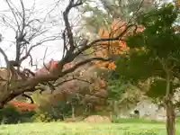 東勝寺跡の自然