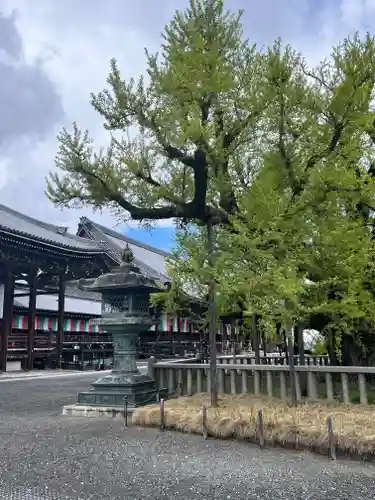 本願寺（西本願寺）(京都府)