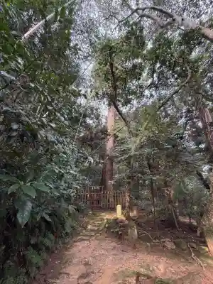 八重垣神社の{uncategorized: "未分類", other: "その他", undefined: "問題あり", building: "その他建物", grave: "お墓", sacred_gate: "鳥居", guardian: "狛犬", statue: "像", buddha: "仏像", history: "歴史", nature: "自然", garden: "庭園", animal: "動物", pagoda: "塔", temizu: "手水舎", mountain_gate: "山門・神門", sanctuary: "本殿・本堂", subordinate: "末社・摂社", art: "芸術", scenery: "景色", jizo: "地蔵", ema: "絵馬", goshuin: "御朱印", omikuji: "おみくじ", items: "授与品その他", amulet: "お守り", goshuincho: "御朱印帳", eats: "食事", festival: "お祭り", votive_dance: "神楽", shichigosan: "七五三参", wedding: "結婚式", experience: "体験その他", initially: "初詣", around: "周辺", anti_infection: "感染症対策"}