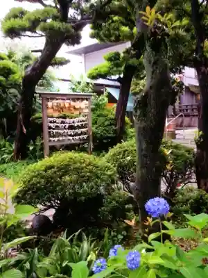 鳩森八幡神社の絵馬