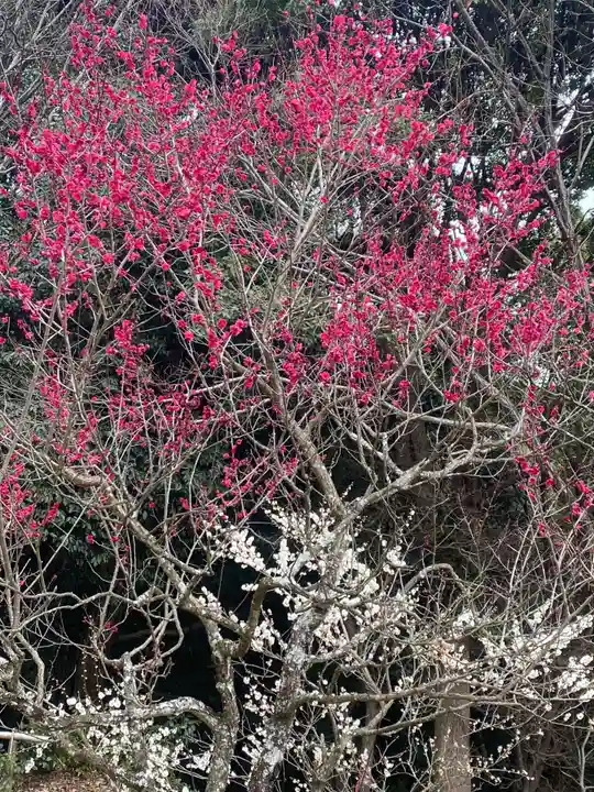 岩津天満宮(愛知県)