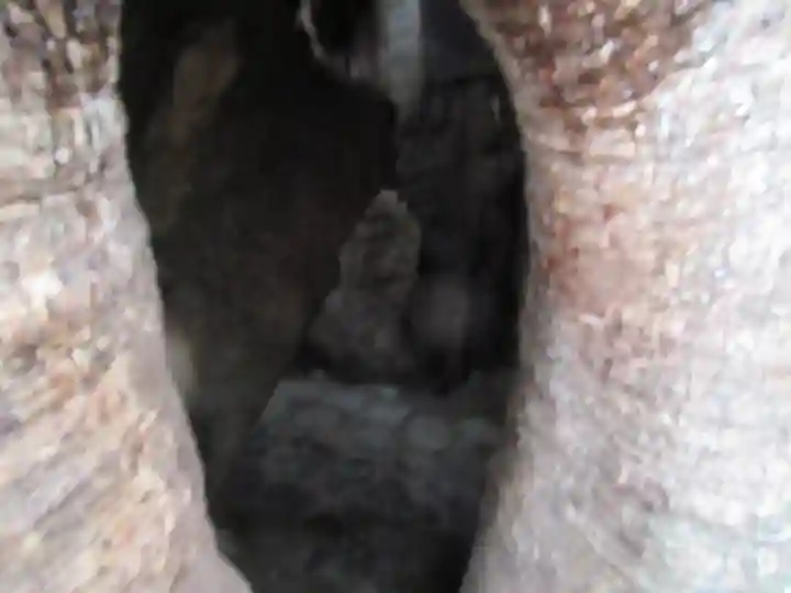 熊野那智大社のその他建物