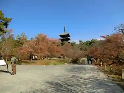 仁和寺(京都府)