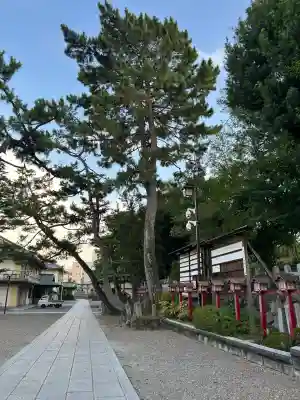 茨木神社(大阪府)
