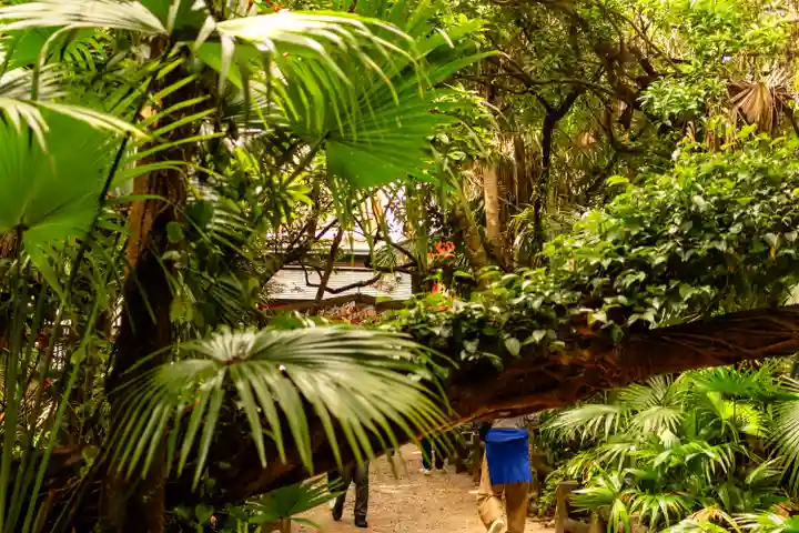 青島神社(青島神宮)(宮崎県)