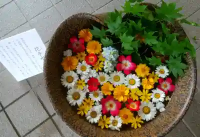 美瑛神社の手水舎