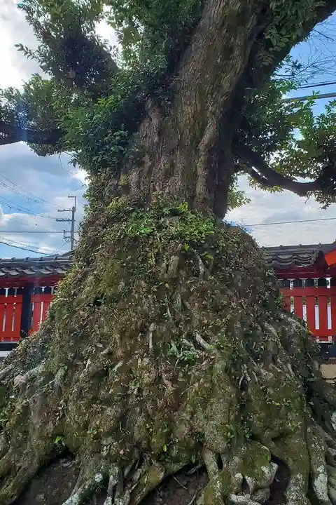 大将軍神社(滋賀県)