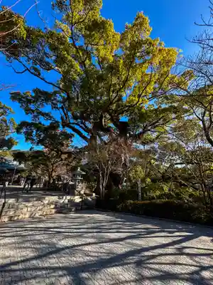 與止日女神社(佐賀県)