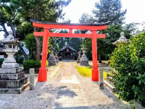 八幡社　春日社合殿の鳥居