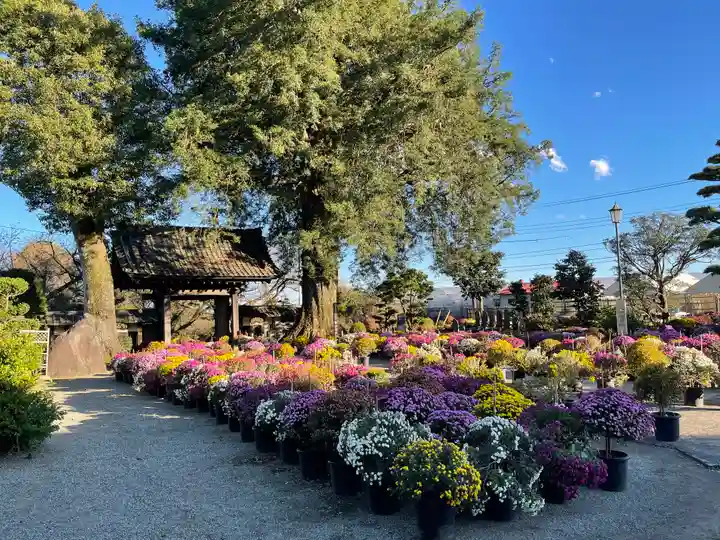 総世寺(神奈川県)