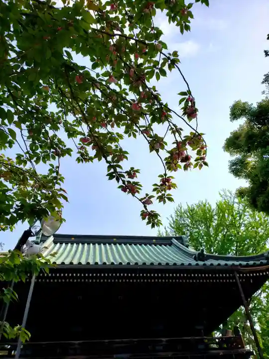 妙法寺の山門・神門