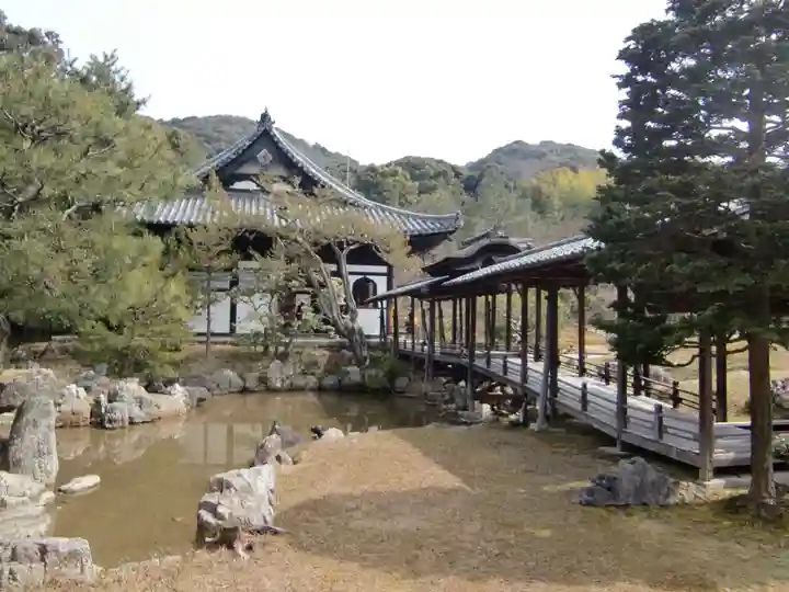 高台寺(高台寿聖禅寺・高臺寺)(京都府)