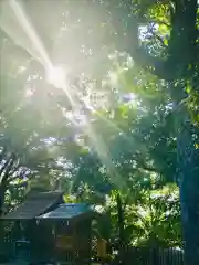 大鷲神社(千葉県)