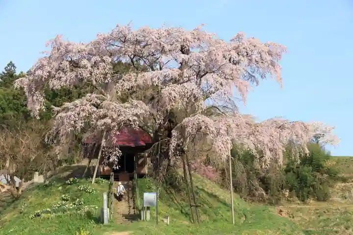 上石不動堂の自然