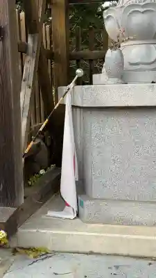 瀧澤龍神(北海道)