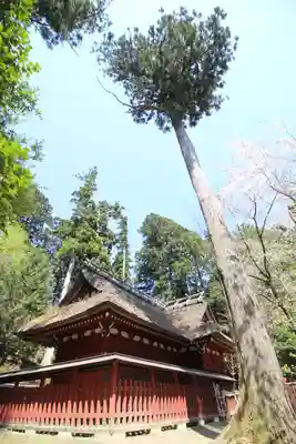 八王寺(埼玉県)