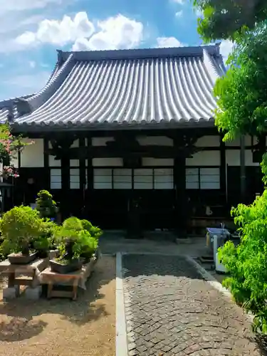金田寺(大阪府)