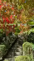 勝持寺（花の寺）(京都府)