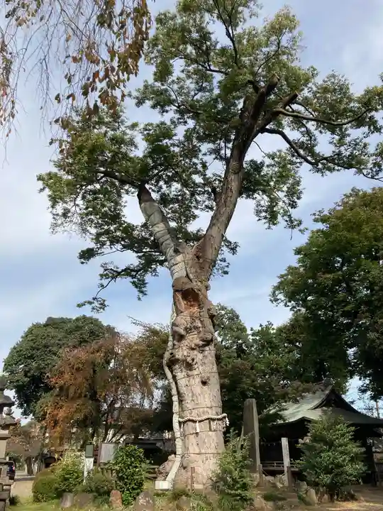 廣瀬神社のその他建物