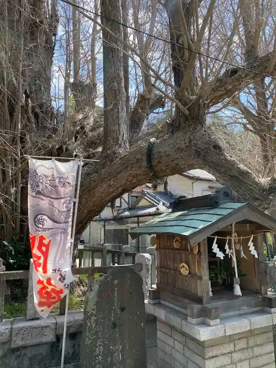 海南神社(神奈川県)