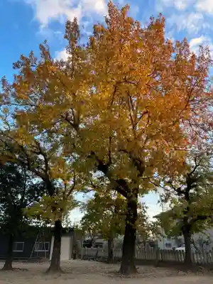 益気神社(兵庫県)