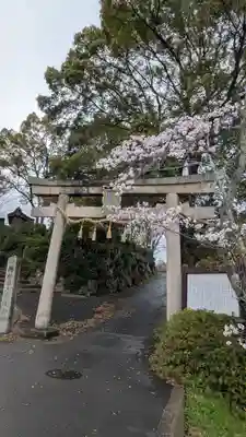 佐久奈度神社(滋賀県)