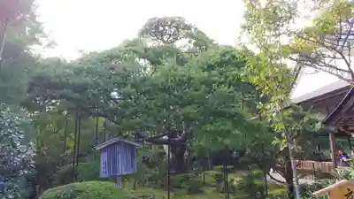 宝泉院(京都府)