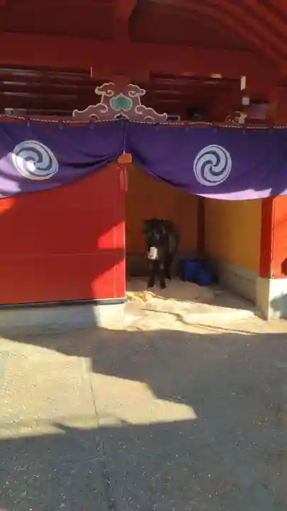 神田神社(神田明神)(東京都)