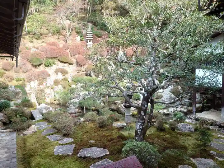 柳谷観音 楊谷寺(京都府)