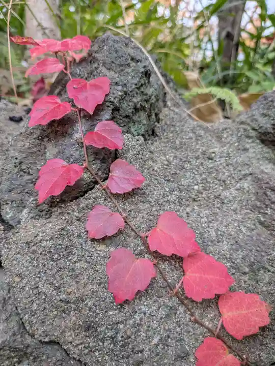 乃木神社(東京都)