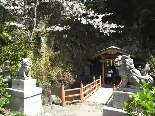 銭洗弁財天宇賀福神社の狛犬