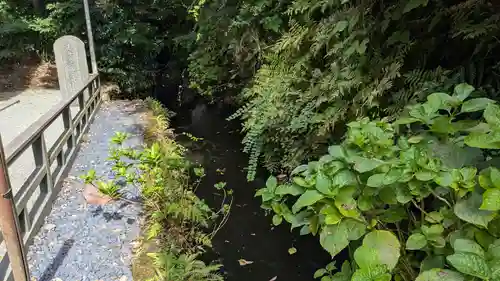 龍口寺の庭園