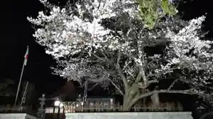 立鉾鹿島神社の庭園(2023年03月27日(月) 21時04分10秒投稿)