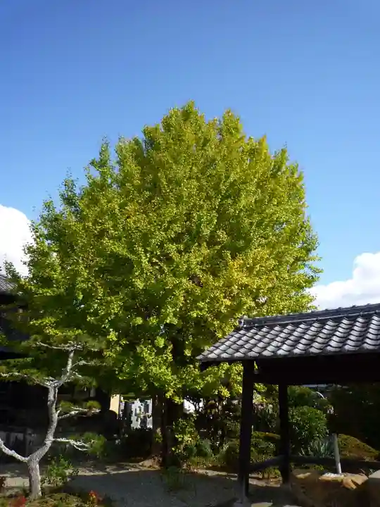 妙華寺(三重県)