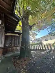 八幡神社(福井県)