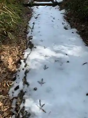 諏訪神社(千葉県)