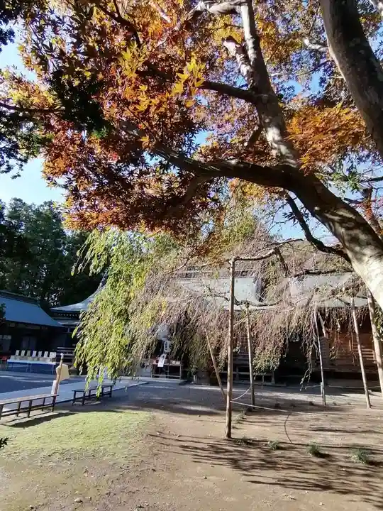 常陸第三宮 吉田神社の庭園