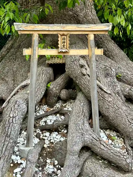 和泉國一之宮 大鳥大社(大阪府)