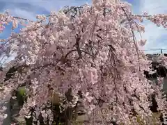 櫟野寺(滋賀県)