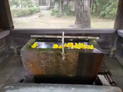 小松天満宮の手水舎