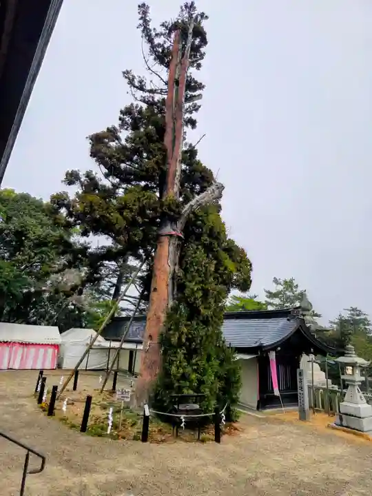 吉備津彦神社(岡山県)