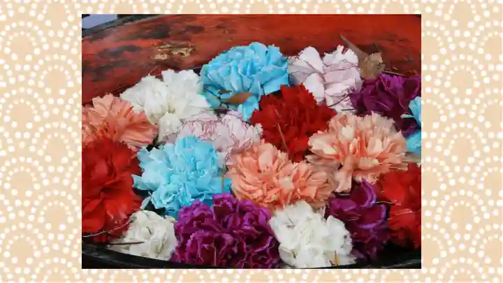 草加神社(埼玉県)