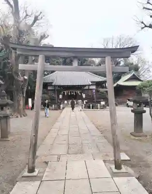 平塚神社の{uncategorized: "未分類", other: "その他", undefined: "問題あり", building: "その他建物", grave: "お墓", sacred_gate: "鳥居", guardian: "狛犬", statue: "像", buddha: "仏像", history: "歴史", nature: "自然", garden: "庭園", animal: "動物", pagoda: "塔", temizu: "手水舎", mountain_gate: "山門・神門", sanctuary: "本殿・本堂", subordinate: "末社・摂社", art: "芸術", scenery: "景色", jizo: "地蔵", ema: "絵馬", goshuin: "御朱印", omikuji: "おみくじ", items: "授与品その他", amulet: "お守り", goshuincho: "御朱印帳", eats: "食事", festival: "お祭り", votive_dance: "神楽", shichigosan: "七五三参", wedding: "結婚式", experience: "体験その他", initially: "初詣", around: "周辺", anti_infection: "感染症対策"}