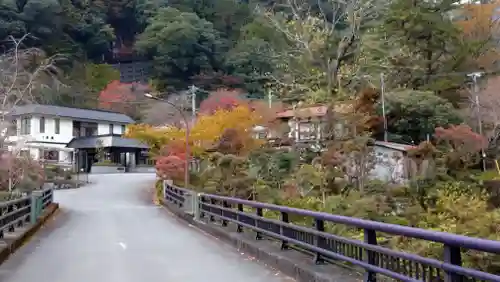日蓮宗 総本山 塔頭 定林坊(じょうりんぼう)の自然